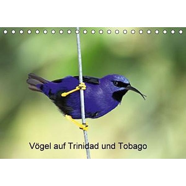 Vögel auf Trinidad und Tobago (Tischkalender 2016 DIN A5 quer), Willy Brüchle, Weiterstadt