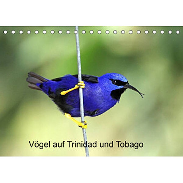 Vögel auf Trinidad und Tobago (Tischkalender 2022 DIN A5 quer), W. Brüchle, Weiterstadt