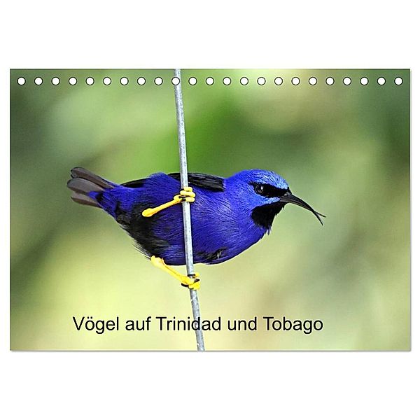 Vögel auf Trinidad und Tobago (Tischkalender 2024 DIN A5 quer), CALVENDO Monatskalender, Weiterstadt, Dr. W. Brüchle