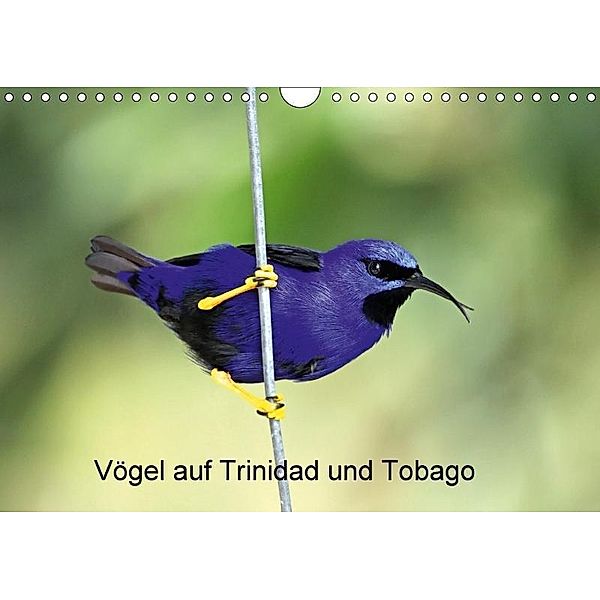 Vögel auf Trinidad und Tobago (Wandkalender 2017 DIN A4 quer), W. Brüchle