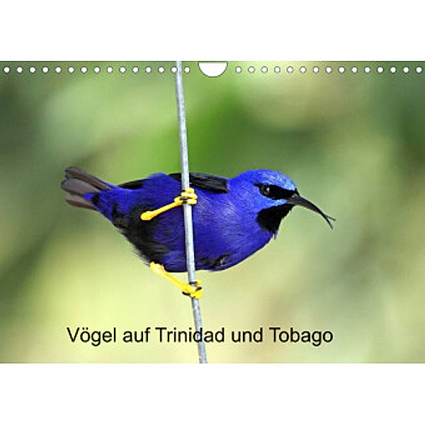 Vögel auf Trinidad und Tobago (Wandkalender 2022 DIN A4 quer), Weiterstadt, W. Brüchle