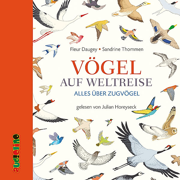 Vögel auf Weltreise. Alles über Zugvögel, Fleur Daugey