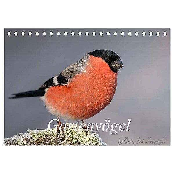 Vögel aus dem Garten (Tischkalender 2024 DIN A5 quer), CALVENDO Monatskalender, Em-Jott Fotografie