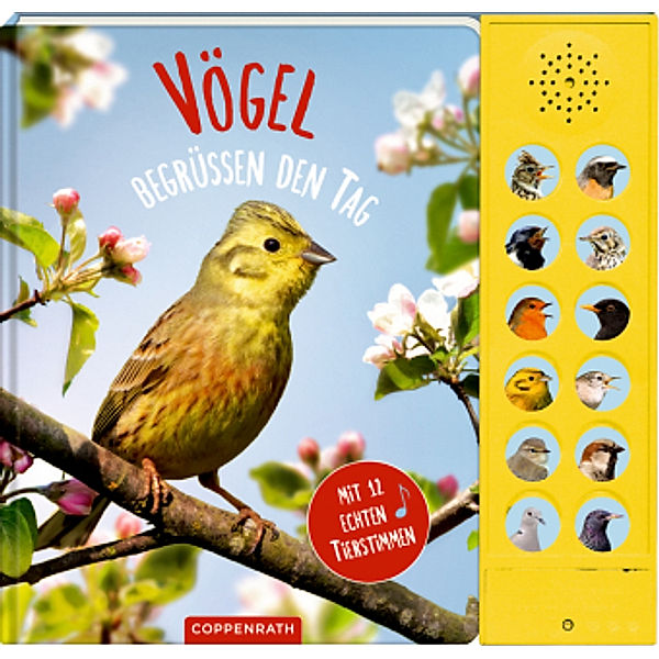 Vögel begrüßen den Tag, m. Soundeffekten, Holger Haag