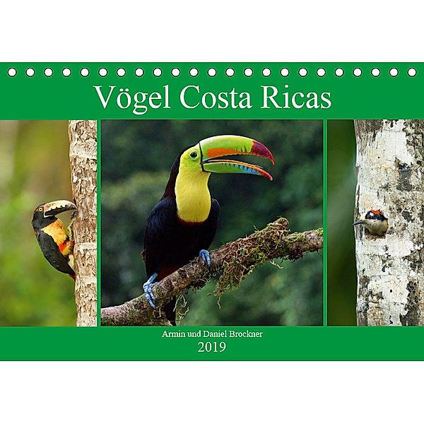Vögel Costa Ricas (Tischkalender 2019 DIN A5 quer), Armin Brockner