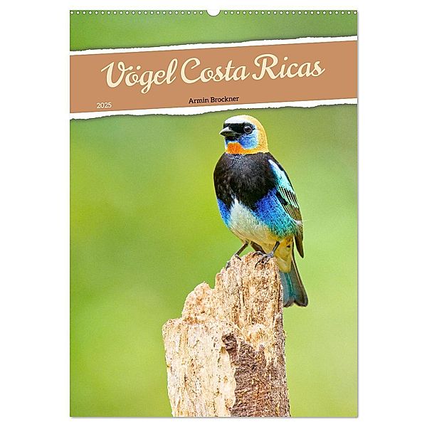 Vögel Costa Ricas (Wandkalender 2025 DIN A2 hoch), CALVENDO Monatskalender, Calvendo, Armin Brockner