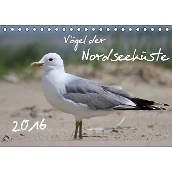 Vögel der Nordseeküste (Tischkalender 2016 DIN A5 quer), Jan Allnoch