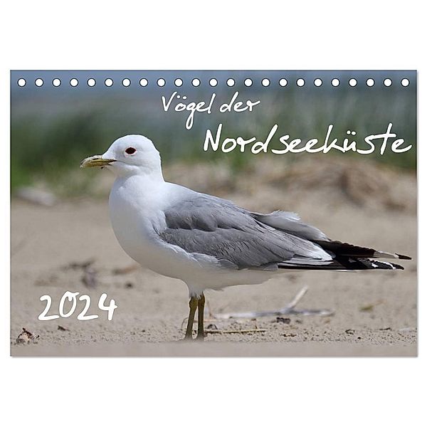 Vögel der Nordseeküste (Tischkalender 2024 DIN A5 quer), CALVENDO Monatskalender, Jan Allnoch