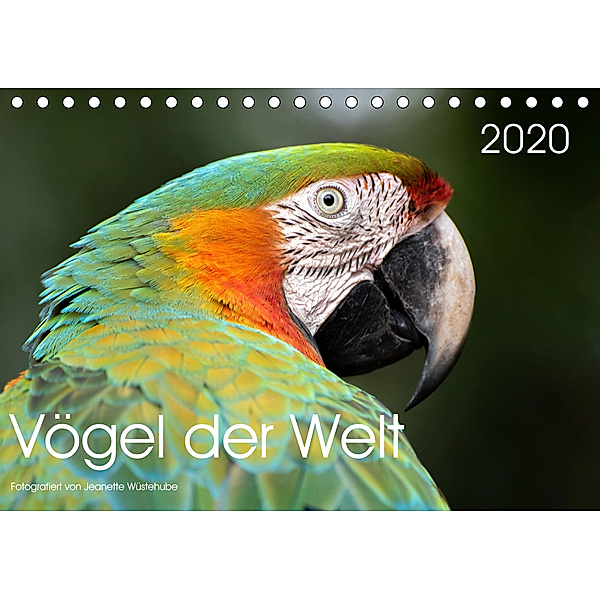 Vögel der Welt (Tischkalender 2020 DIN A5 quer), Jeanette Wüstehube