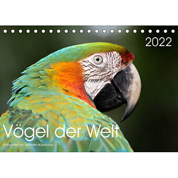 Vögel der Welt (Tischkalender 2022 DIN A5 quer), Jeanette Wüstehube