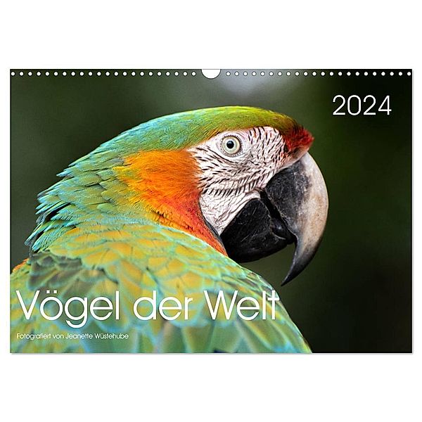 Vögel der Welt (Wandkalender 2024 DIN A3 quer), CALVENDO Monatskalender, Jeanette Wüstehube