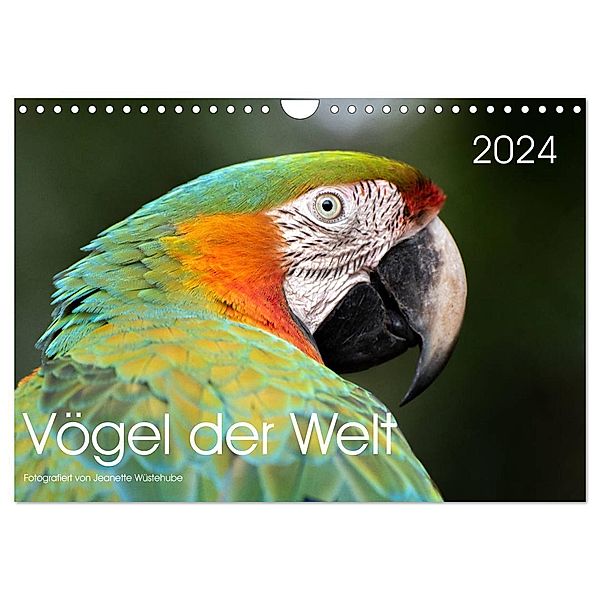 Vögel der Welt (Wandkalender 2024 DIN A4 quer), CALVENDO Monatskalender, Jeanette Wüstehube