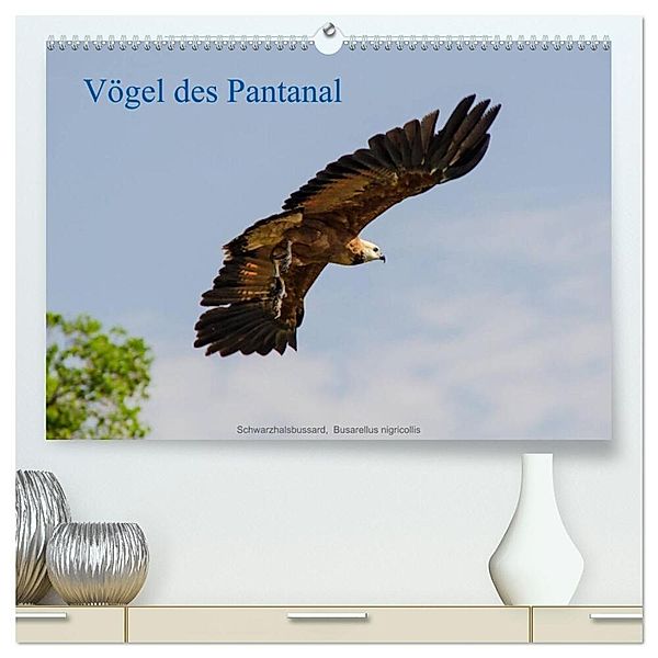 Vögel des Pantanal (hochwertiger Premium Wandkalender 2024 DIN A2 quer), Kunstdruck in Hochglanz, Jürgen Wöhlke