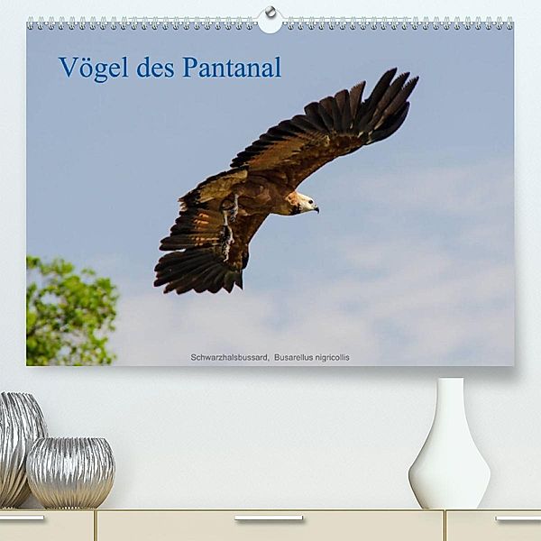 Vögel des Pantanal (Premium, hochwertiger DIN A2 Wandkalender 2023, Kunstdruck in Hochglanz), Jürgen Wöhlke