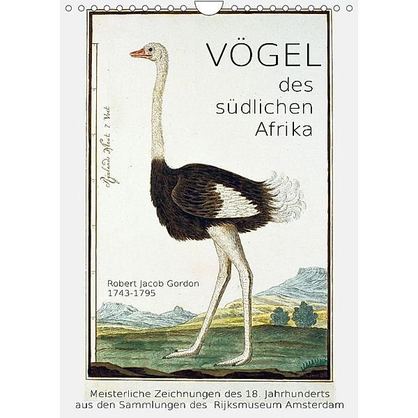 Vögel des südlichen Afrika (Wandkalender 2023 DIN A4 hoch), Jost Galle