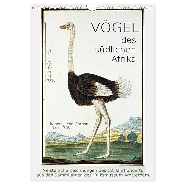 Vögel des südlichen Afrika (Wandkalender 2024 DIN A4 hoch), CALVENDO Monatskalender, Jost Galle