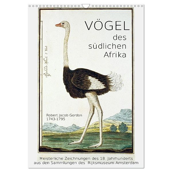 Vögel des südlichen Afrika (Wandkalender 2024 DIN A3 hoch), CALVENDO Monatskalender, Jost Galle