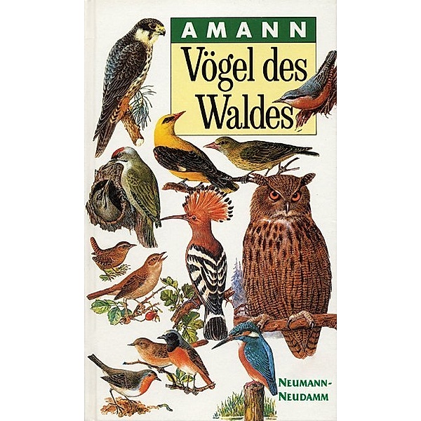 Vögel des Waldes, Gottfried Amann