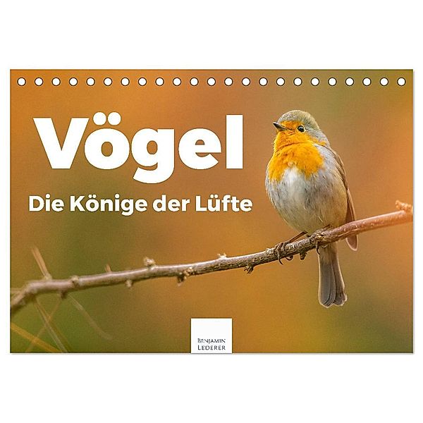 Vögel - Die Könige der Lüfte (Tischkalender 2024 DIN A5 quer), CALVENDO Monatskalender, Benjamin Lederer