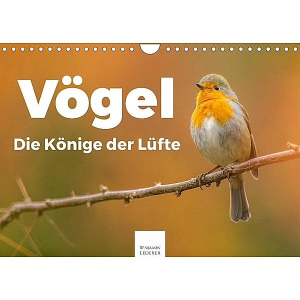 Vögel - Die Könige der Lüfte (Wandkalender 2023 DIN A4 quer), Benjamin Lederer