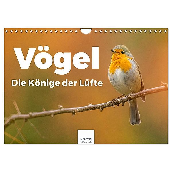 Vögel - Die Könige der Lüfte (Wandkalender 2024 DIN A4 quer), CALVENDO Monatskalender, Benjamin Lederer