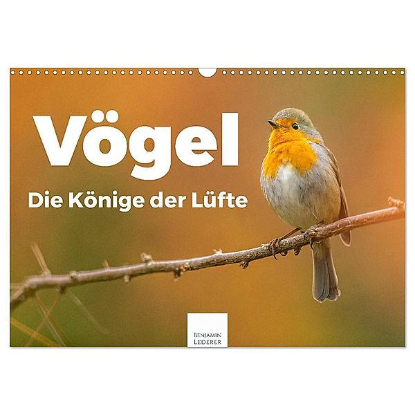 Vögel - Die Könige der Lüfte (Wandkalender 2025 DIN A3 quer), CALVENDO Monatskalender, Calvendo, Benjamin Lederer