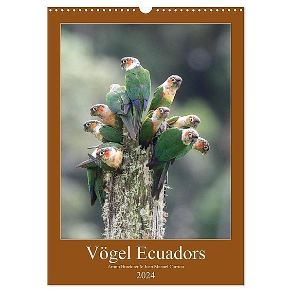Vögel Ecuadors (Wandkalender 2024 DIN A3 hoch), CALVENDO Monatskalender, Armin Brockner