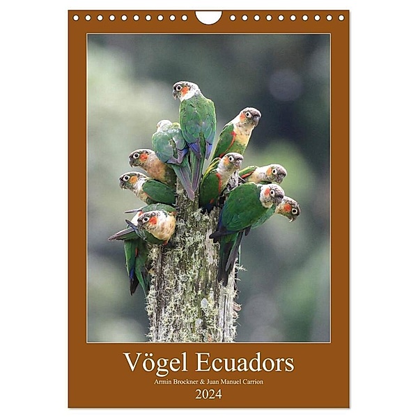Vögel Ecuadors (Wandkalender 2024 DIN A4 hoch), CALVENDO Monatskalender, Armin Brockner