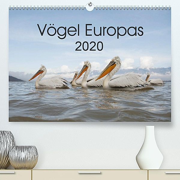 Vögel Europas 2020 (Premium-Kalender 2020 DIN A2 quer), Hans Schröder