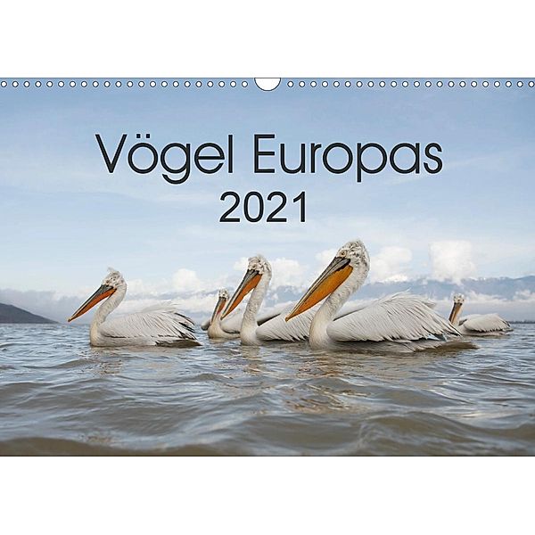 Vögel Europas 2021 (Wandkalender 2021 DIN A3 quer), Hans Schröder