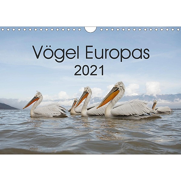 Vögel Europas 2021 (Wandkalender 2021 DIN A4 quer), Hans Schröder