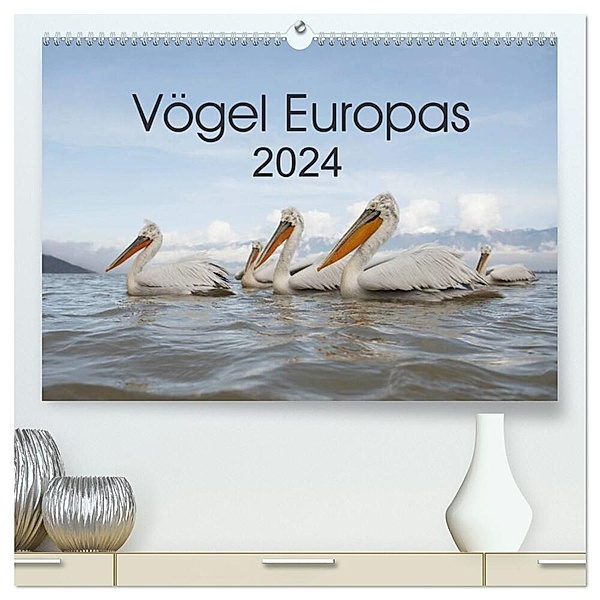 Vögel Europas 2024 (hochwertiger Premium Wandkalender 2024 DIN A2 quer), Kunstdruck in Hochglanz, Hans Schröder