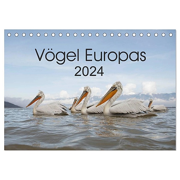 Vögel Europas 2024 (Tischkalender 2024 DIN A5 quer), CALVENDO Monatskalender, Hans Schröder