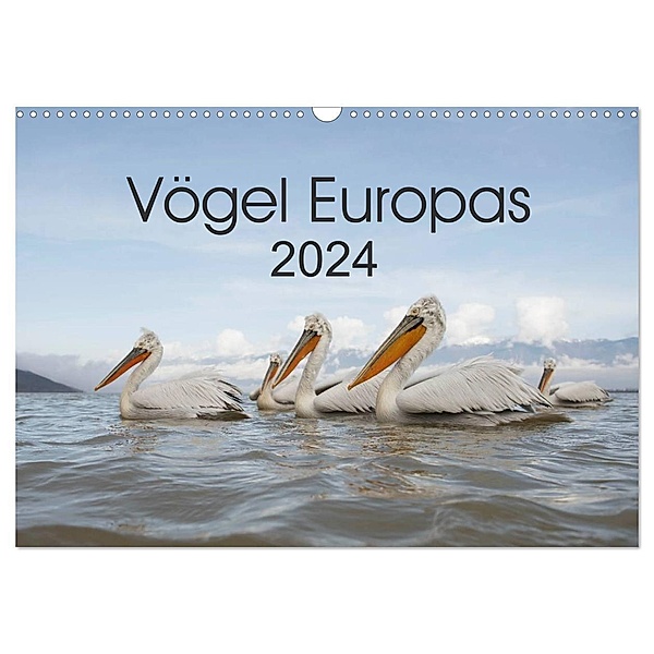 Vögel Europas 2024 (Wandkalender 2024 DIN A3 quer), CALVENDO Monatskalender, Hans Schröder
