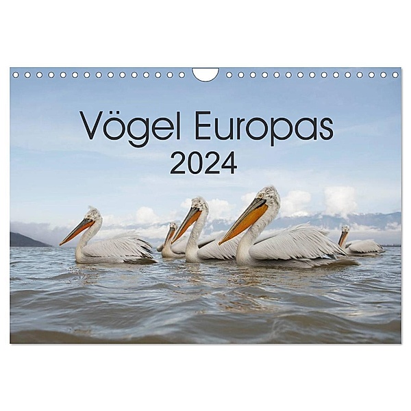 Vögel Europas 2024 (Wandkalender 2024 DIN A4 quer), CALVENDO Monatskalender, Hans Schröder