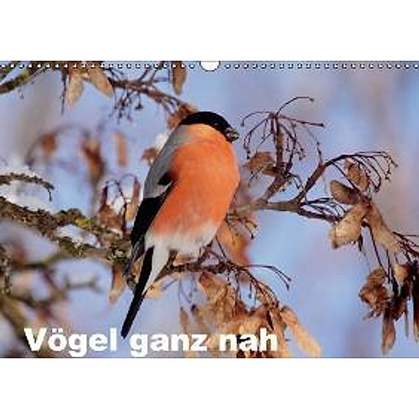 Vögel ganz nah (Wandkalender 2015 DIN A3 quer), Winfried Erlwein