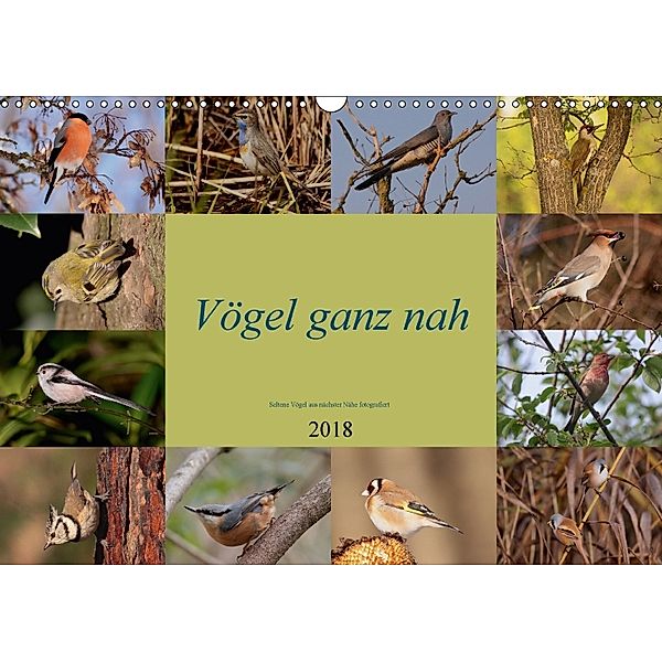 Vögel ganz nah (Wandkalender 2018 DIN A3 quer), Winfried Erlwein