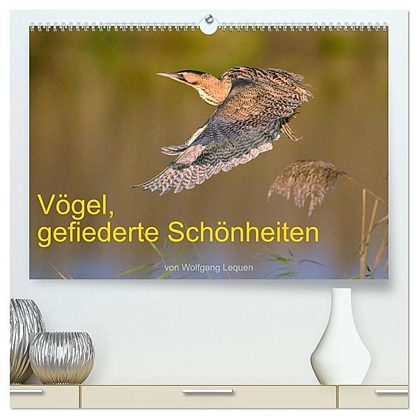 Vögel, Gefiederte Schönheiten (hochwertiger Premium Wandkalender 2024 DIN A2 quer), Kunstdruck in Hochglanz, Wolfgang Lequen