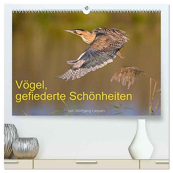 Vögel, Gefiederte Schönheiten (hochwertiger Premium Wandkalender 2025 DIN A2 quer), Kunstdruck in Hochglanz, Calvendo, Wolfgang Lequen
