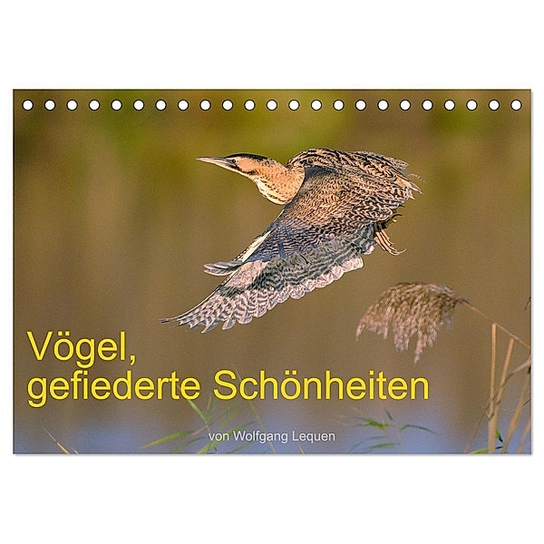 Vögel, Gefiederte Schönheiten (Tischkalender 2024 DIN A5 quer), CALVENDO Monatskalender, Wolfgang Lequen