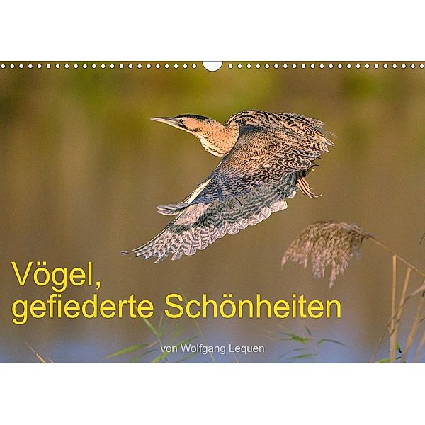 Vögel, Gefiederte Schönheiten (Wandkalender 2023 DIN A3 quer), Wolfgang Lequen