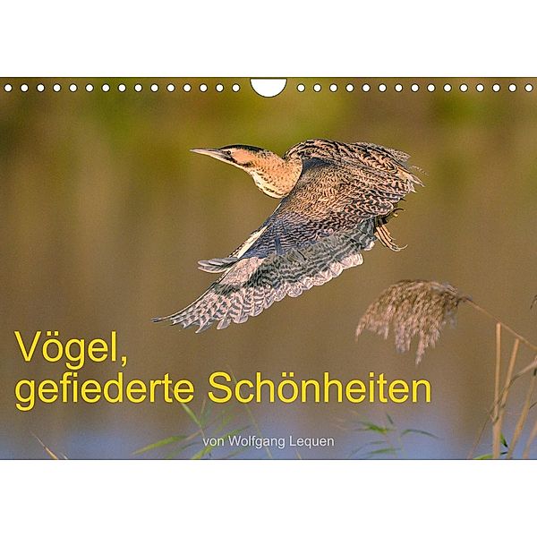 Vögel, Gefiederte Schönheiten (Wandkalender 2023 DIN A4 quer), Wolfgang Lequen