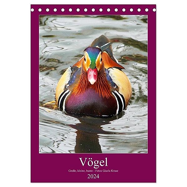 Vögel - Große, kleine, bunte (Tischkalender 2024 DIN A5 hoch), CALVENDO Monatskalender, Gisela Kruse