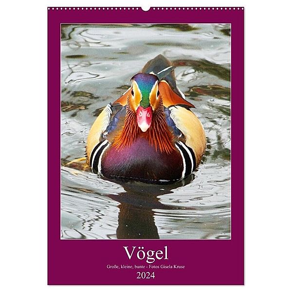 Vögel - Grosse, kleine, bunte (Wandkalender 2024 DIN A2 hoch), CALVENDO Monatskalender, Gisela Kruse
