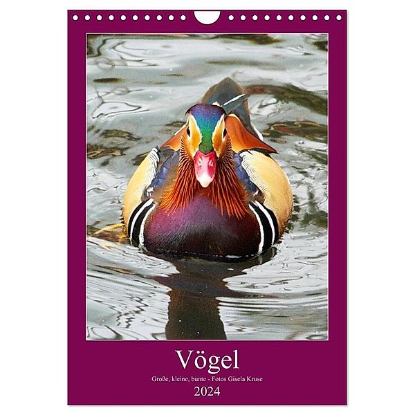 Vögel - Große, kleine, bunte (Wandkalender 2024 DIN A4 hoch), CALVENDO Monatskalender, Gisela Kruse