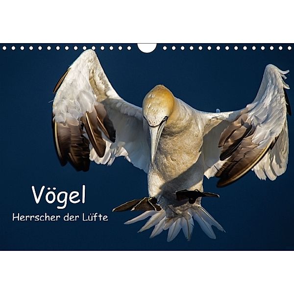 Vögel - Herrscher der Lüfte (Wandkalender 2014 DIN A4 quer), Leon Uppena