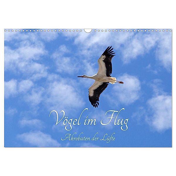 Vögel im Flug - Akrobaten der Lüfte (Wandkalender 2025 DIN A3 quer), CALVENDO Monatskalender, Calvendo, Siegfried Kuttig