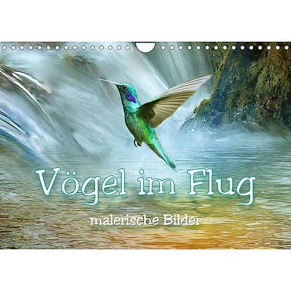 Vögel im Flug - malerische Bilder (Wandkalender 2023 DIN A4 quer), Liselotte Brunner-Klaus