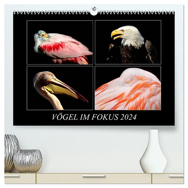 Vögel im Fokus 2024 (hochwertiger Premium Wandkalender 2024 DIN A2 quer), Kunstdruck in Hochglanz, Hamburg, © Mirko Weigt