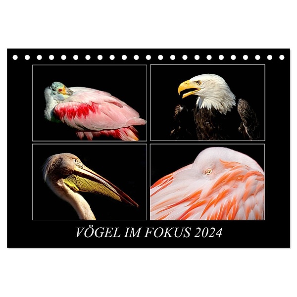 Vögel im Fokus 2024 (Tischkalender 2024 DIN A5 quer), CALVENDO Monatskalender, Hamburg, © Mirko Weigt